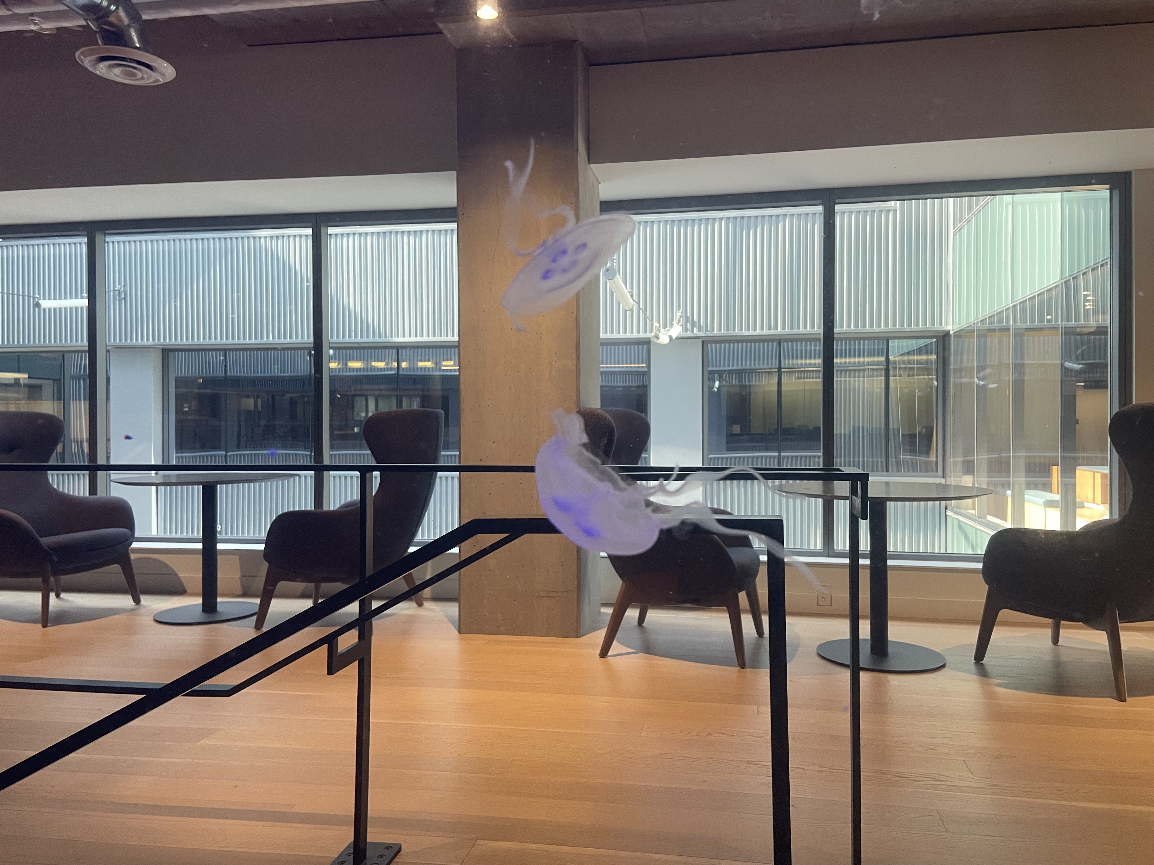 Google office